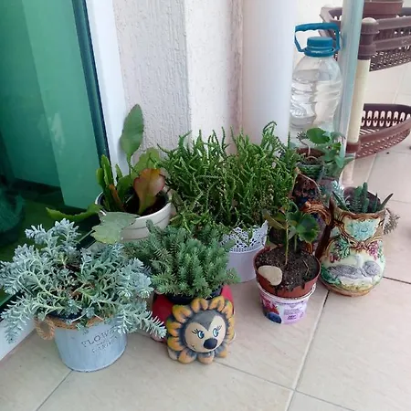 тита Apartament